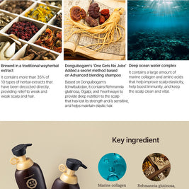 DAENG GI MEO RI Concentrated Care New Gold Special Shampoo 500ml