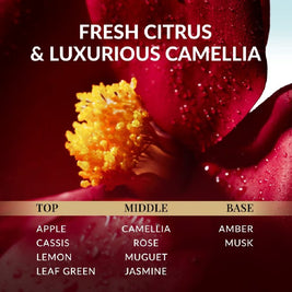 TSUBAKI Premium Cool Shampoo 450ml(Cool Minty Edition)