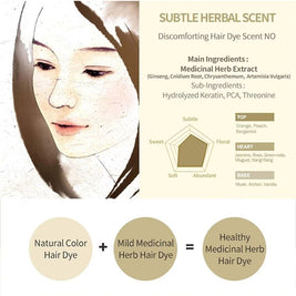 DAENG GI MEO RI Medicinal Herbal Hair Colour Natural Brown 60g