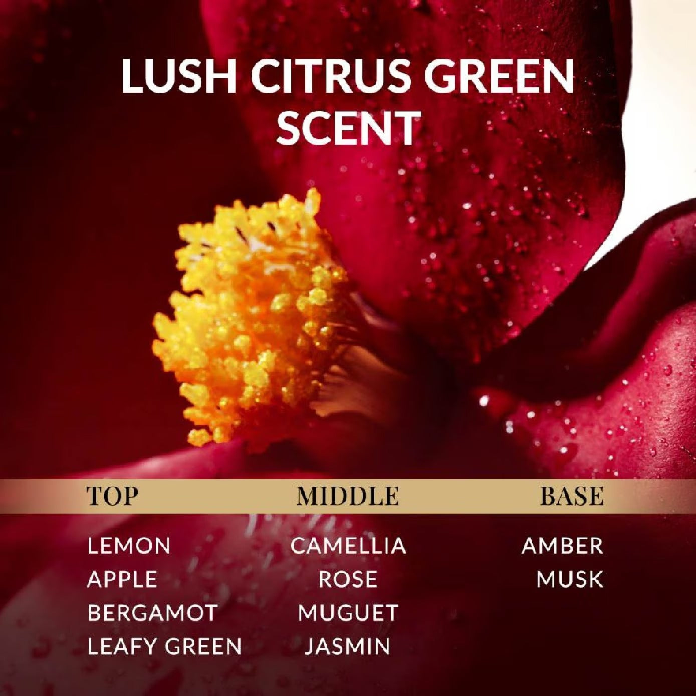 TSUBAKI Premium EX Hair Fall Care & Repair Shampoo 450ml