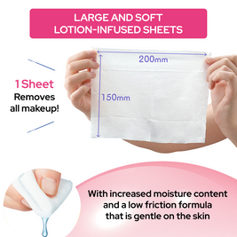 Bifesta Makeup Remover Wipes Moist 46 Sheets